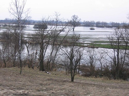 Warta Landscape Park